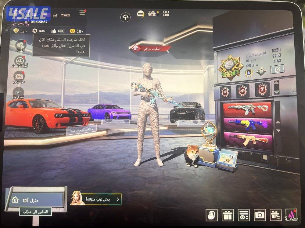 حساب ببجي و4 دودج وامنفور ماكس ماي وامفور سحلية كل و امفور الناري0