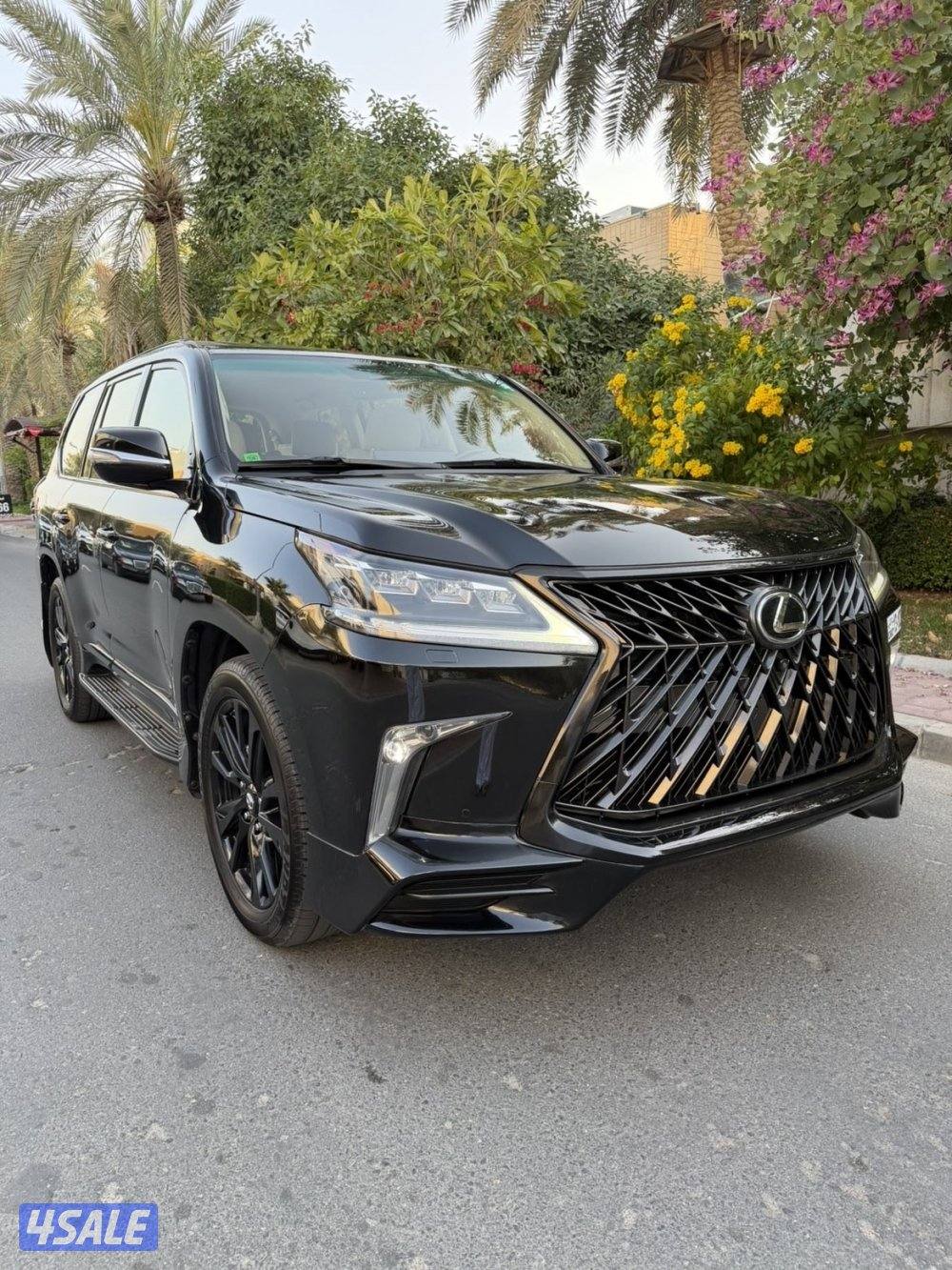 صبغ الوكاله3