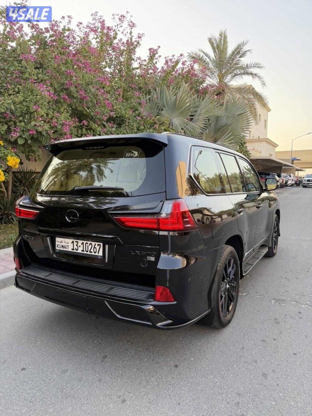 صبغ الوكاله4