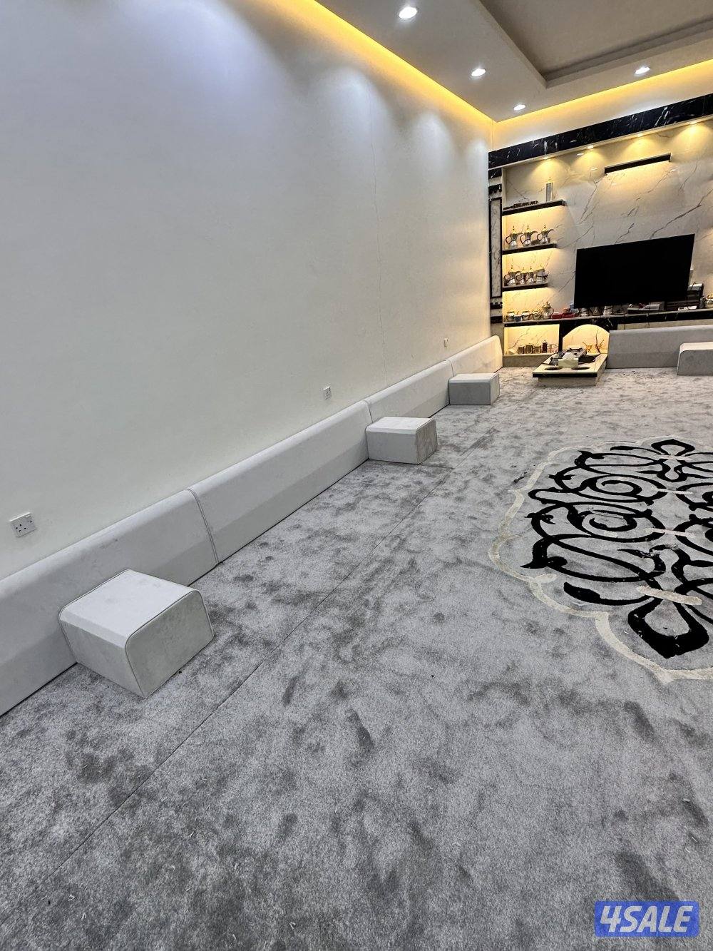 الضجيج الفرونيه1