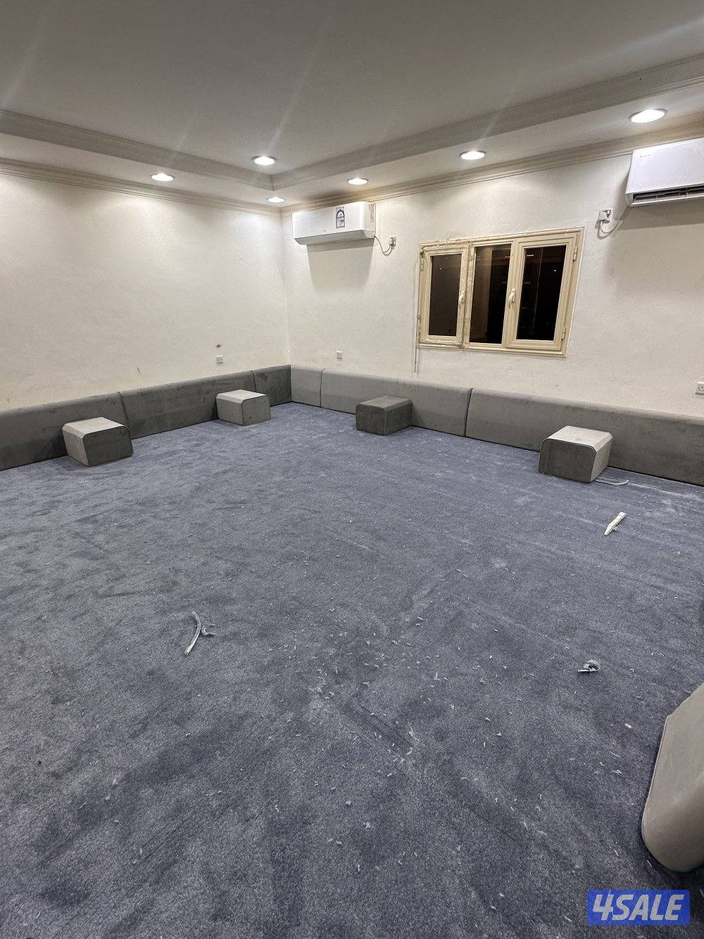 الضجيج الفرونيه6