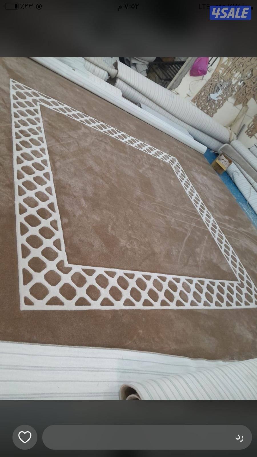 الضجيج الفرونيه11