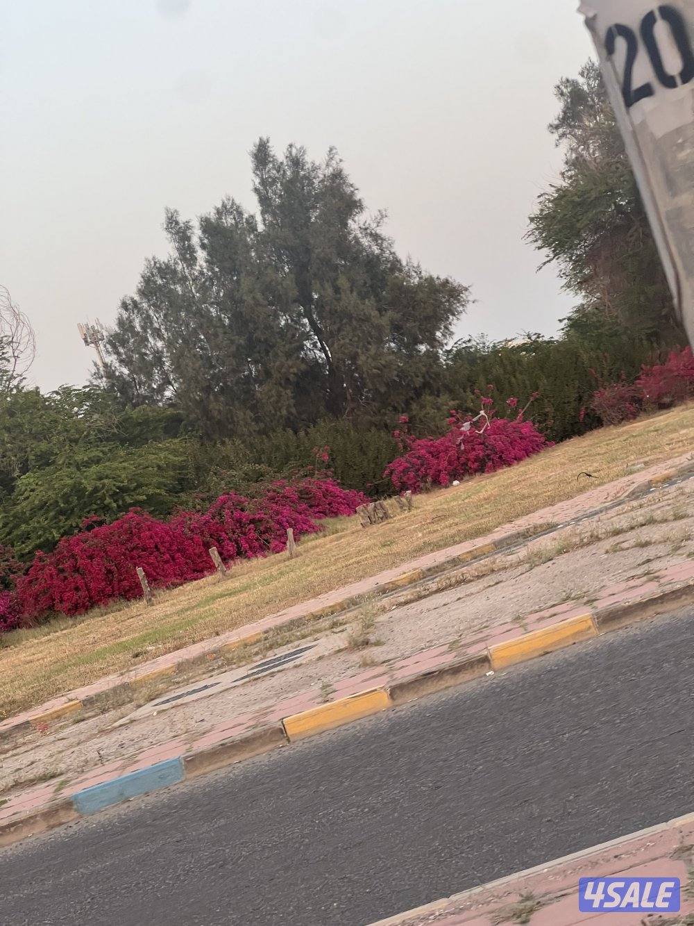 مطلوب موظف0