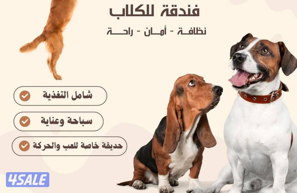 Dog Boarding فندقه كلاب🐶1