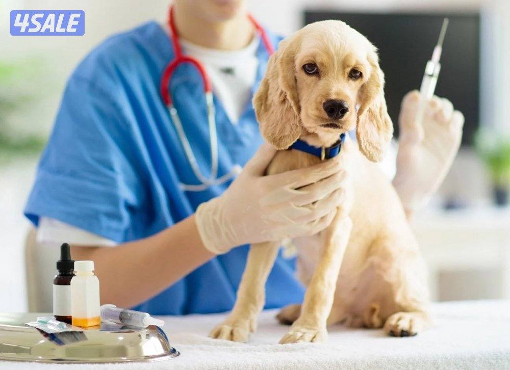 Dog Boarding فندقه كلاب🐶2