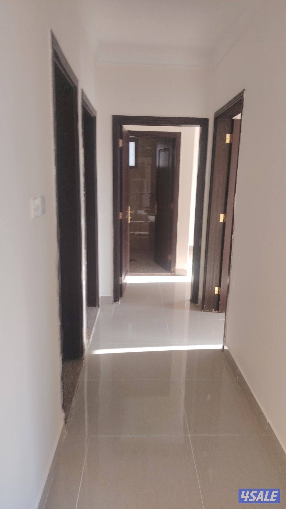 شقة عزوبي للايجار0