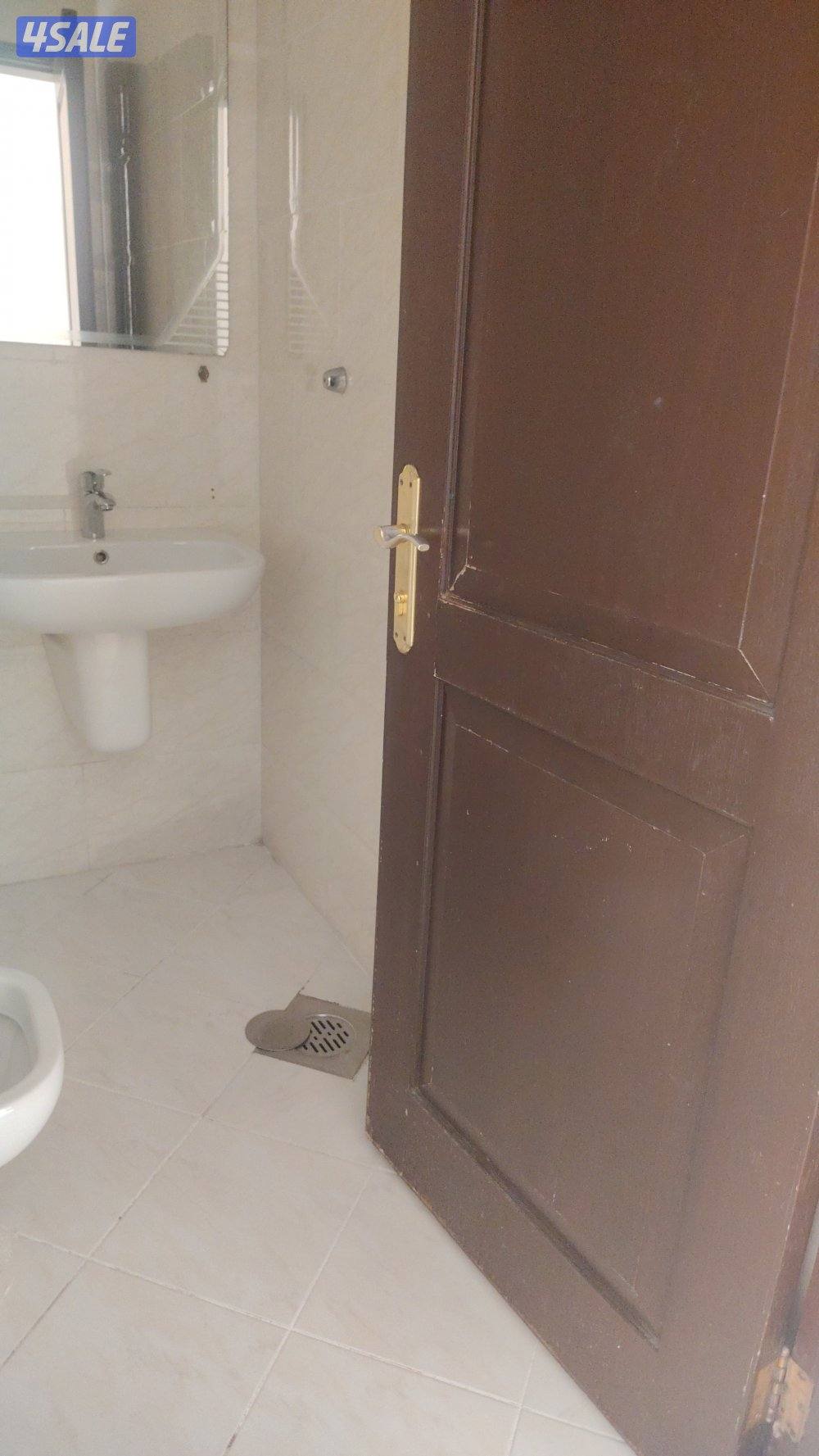 شقة عزوبي للايجار3