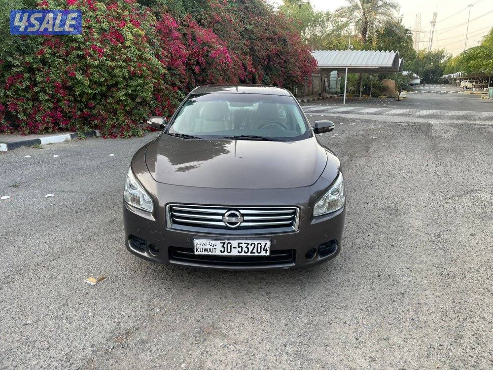 للبيع مكسيما 2014 صبغ الوكالة2