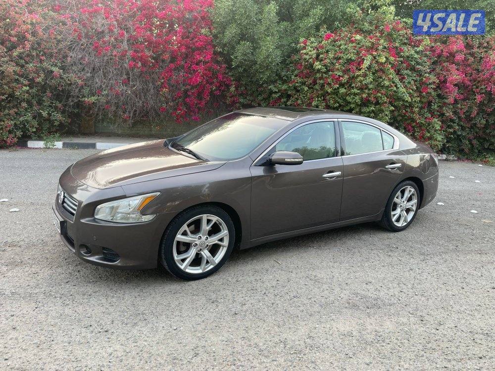 للبيع مكسيما 2014 صبغ الوكالة3