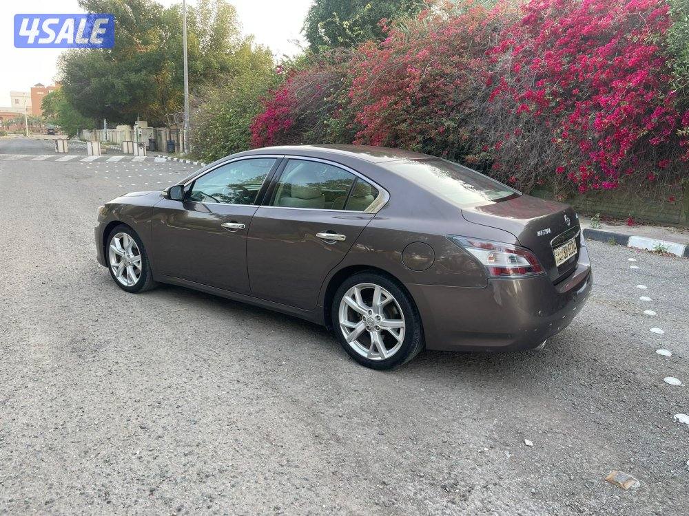 للبيع مكسيما 2014 صبغ الوكالة6