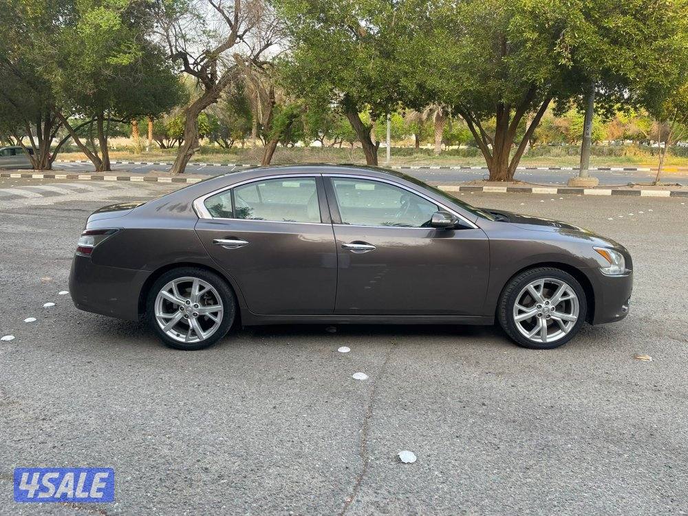 للبيع مكسيما 2014 صبغ الوكالة8