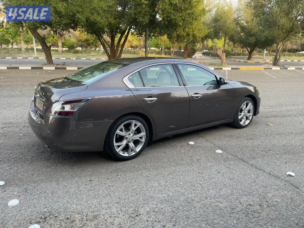 للبيع مكسيما 2014 صبغ الوكالة9