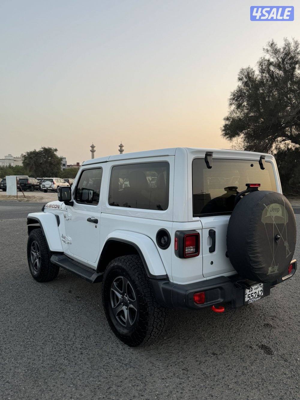 صبغ الوكالة2