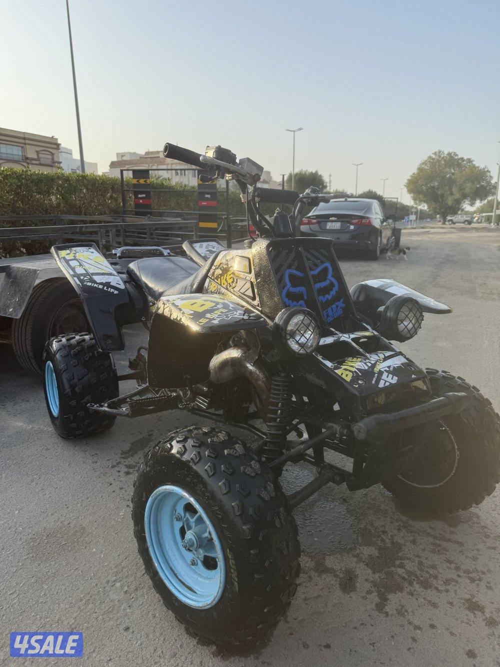 بانشي ٢٠٠٤ سبشل2