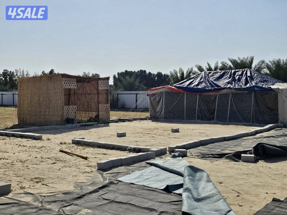 للبيع شاليهات عدد ٣ جديد  ١ مستعمل وخيام وعريش8