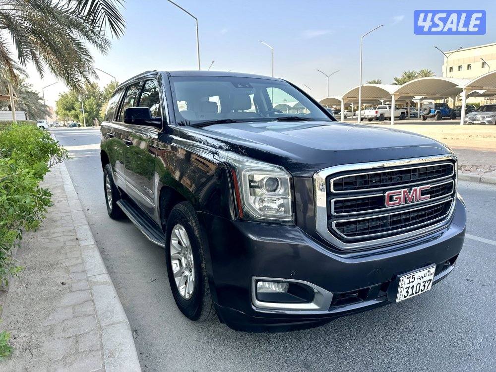 يوكن 2018 صبغ الوكالة نظيف4