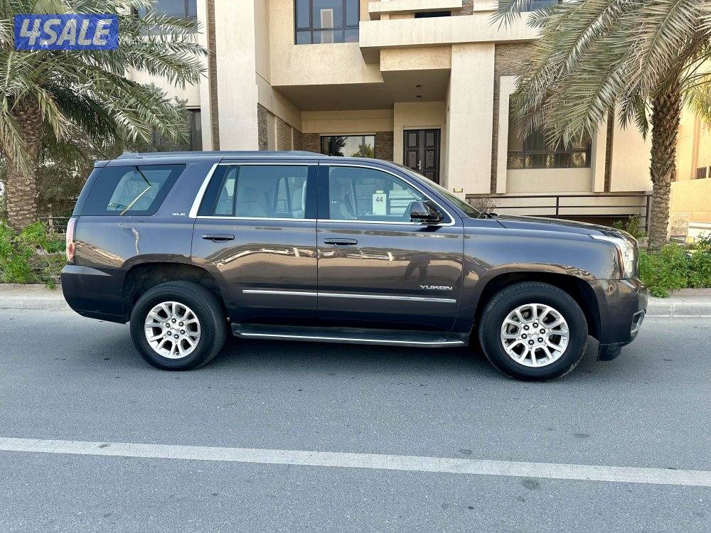 يوكن 2018 صبغ الوكالة نظيف10