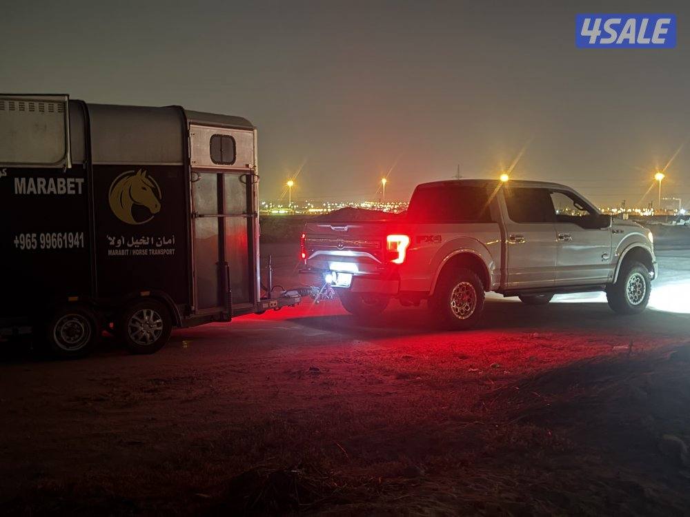 نقل خيل داخل وخارج الكويت | خدمة VIP0