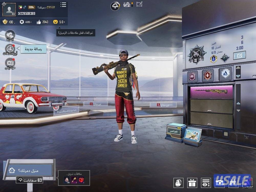 حساب ببجي للبيع بسعر ممتاز1