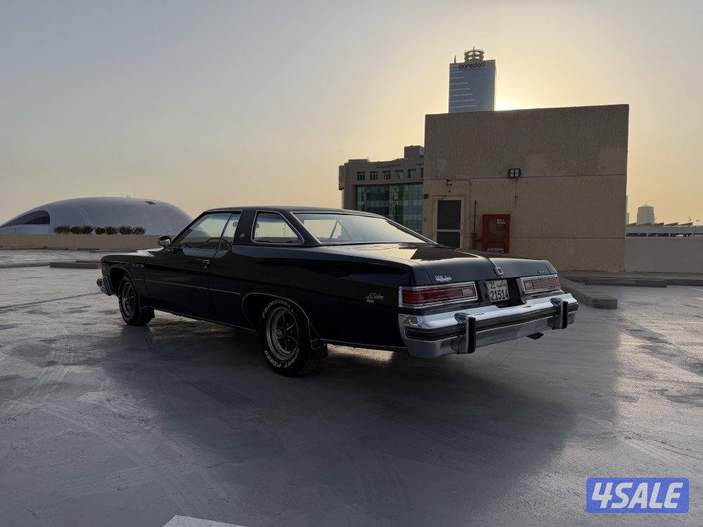 بويك لوسابرا موديل 1976 عداد 446