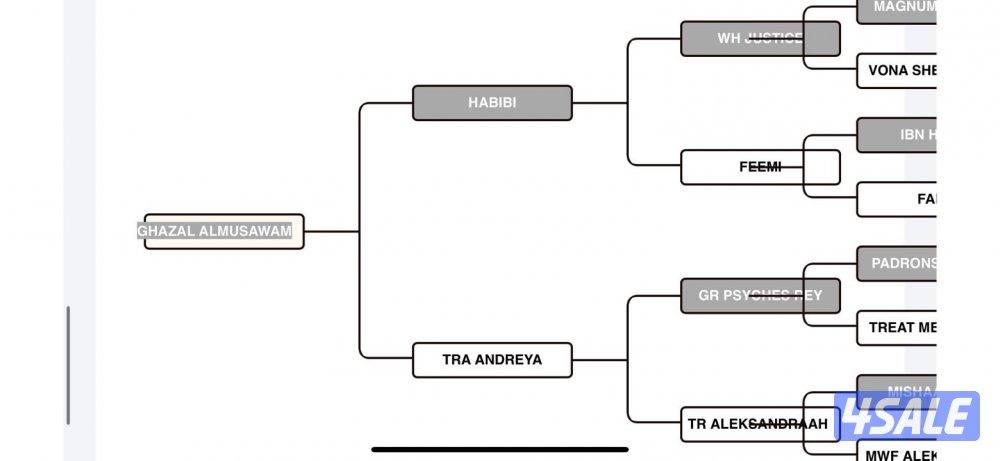 للبيع الفحل غزال ولد حبيبي حفيد دبليو جسدس1