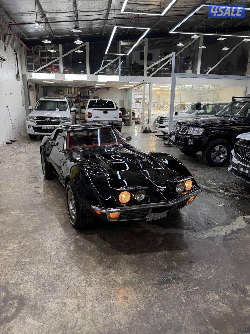 كورفت ستنغري 4541