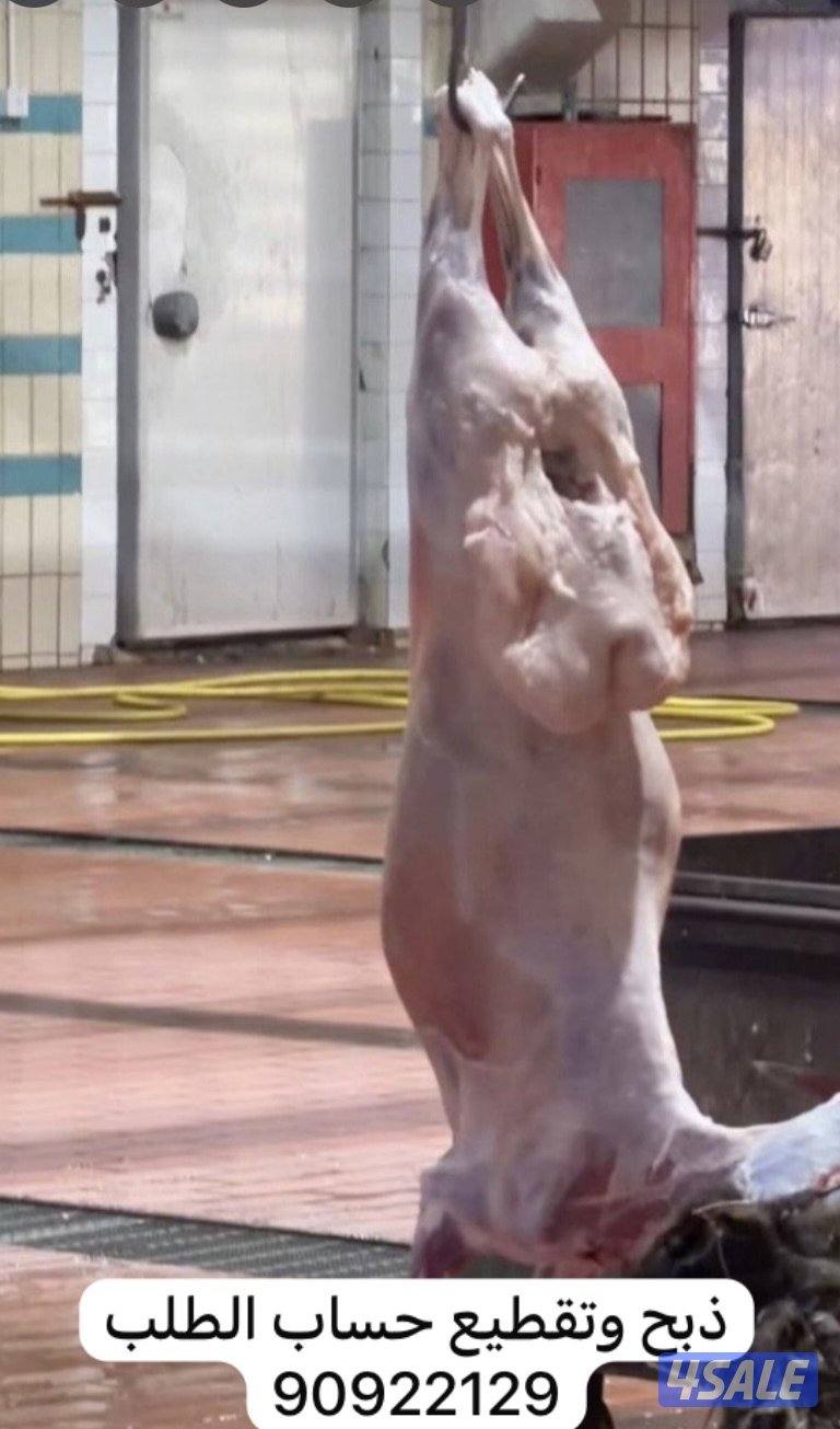 للبيع خرفان الشغالين ومحلي وسوري2