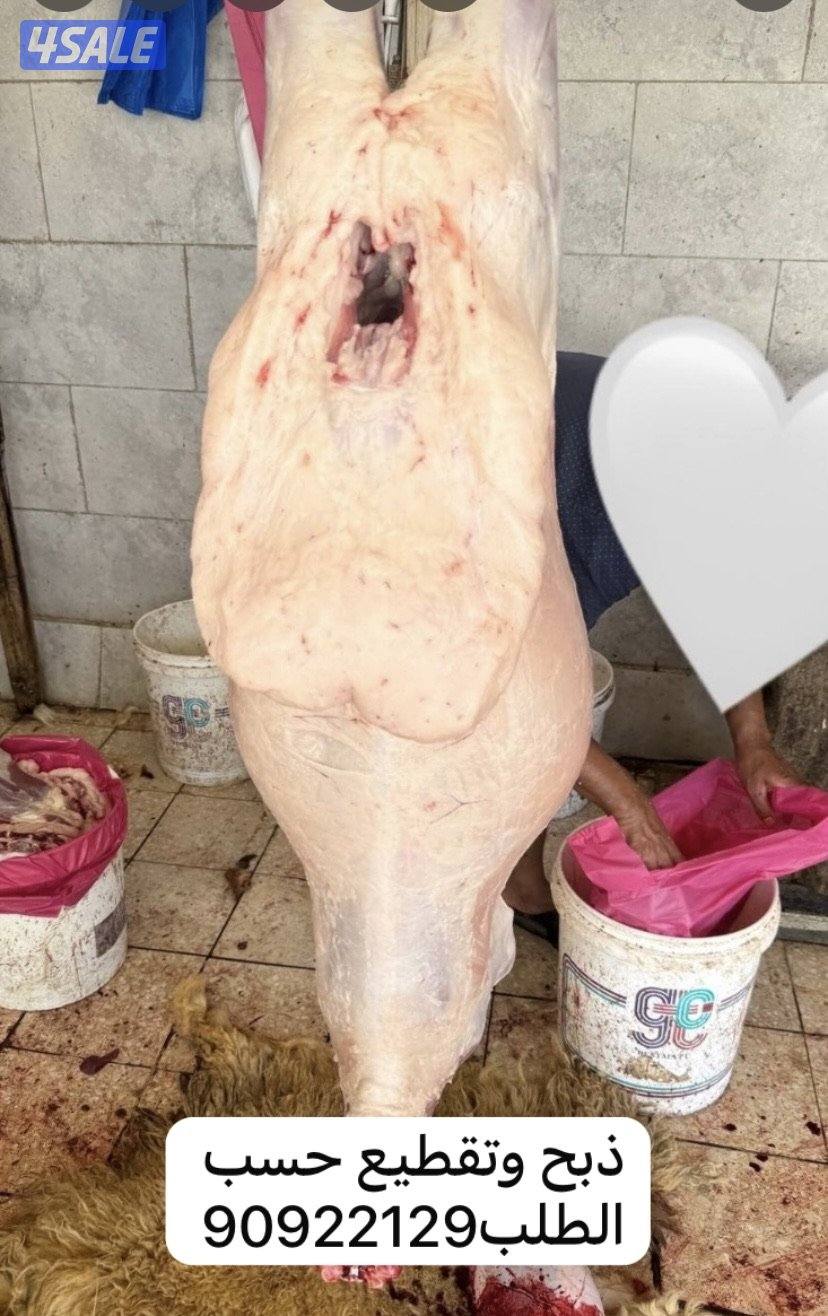 للبيع خرفان الشغالين ومحلي وسوري3