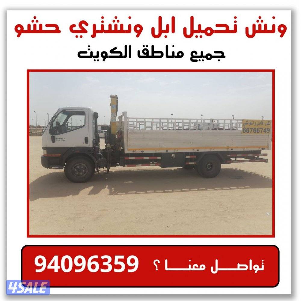 ونش تحميل الابل ونشتري الابل والحشو0