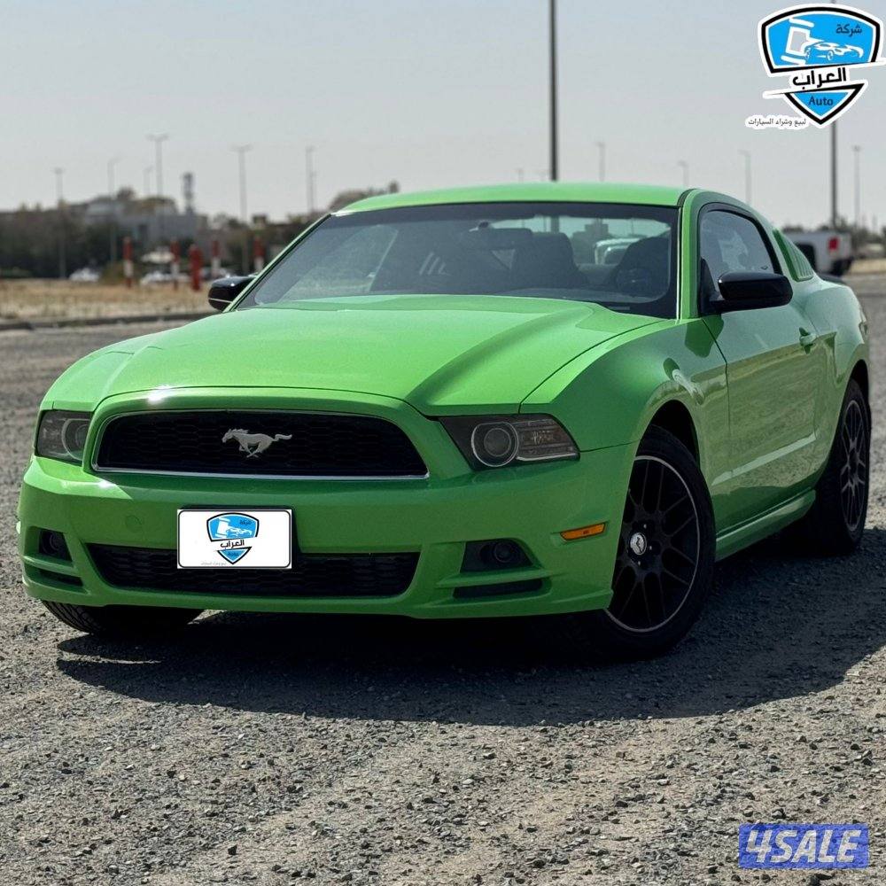 موستنق نضيفه1