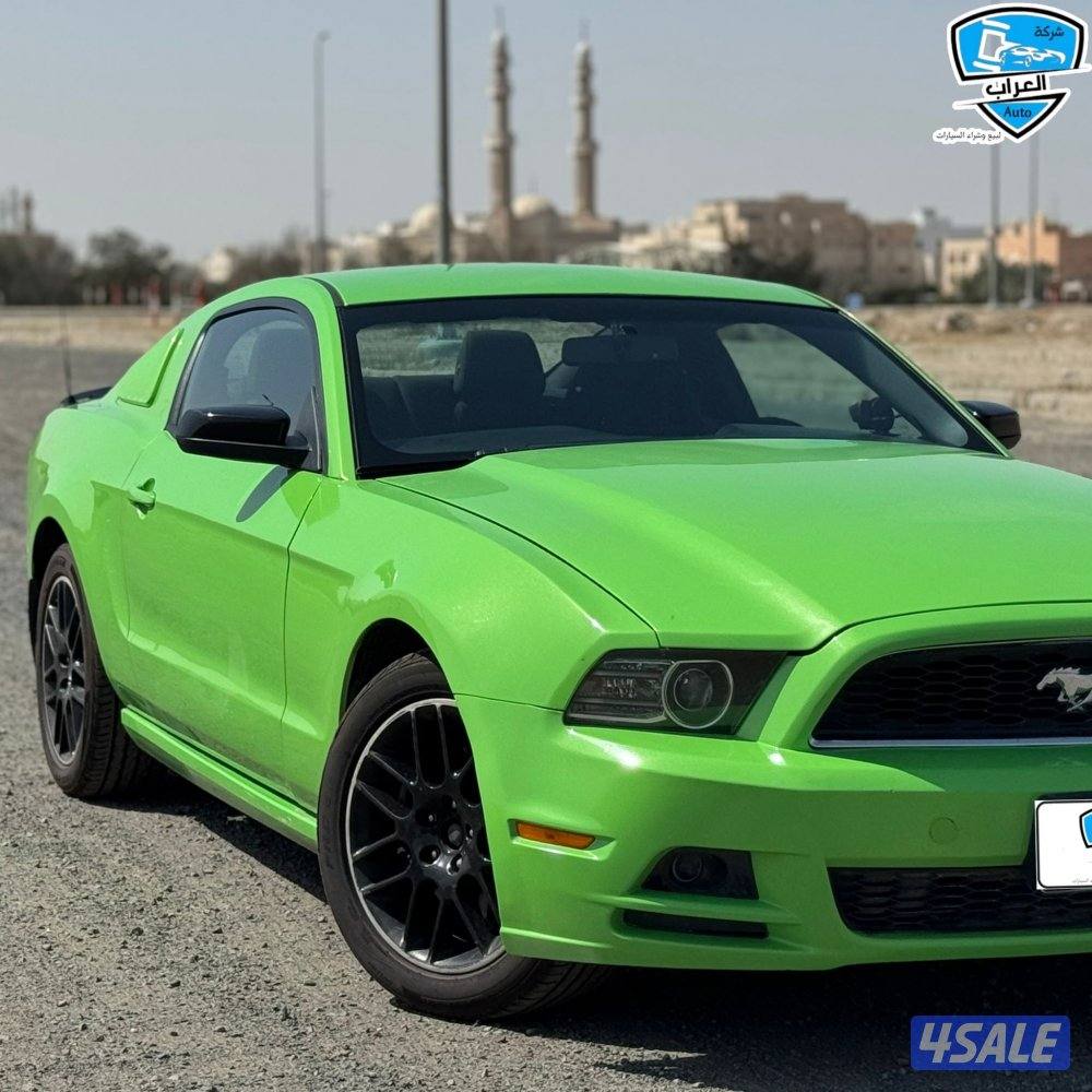 موستنق نضيفه3