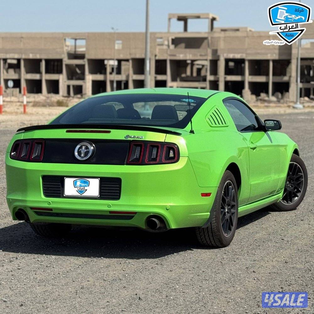 موستنق نضيفه7