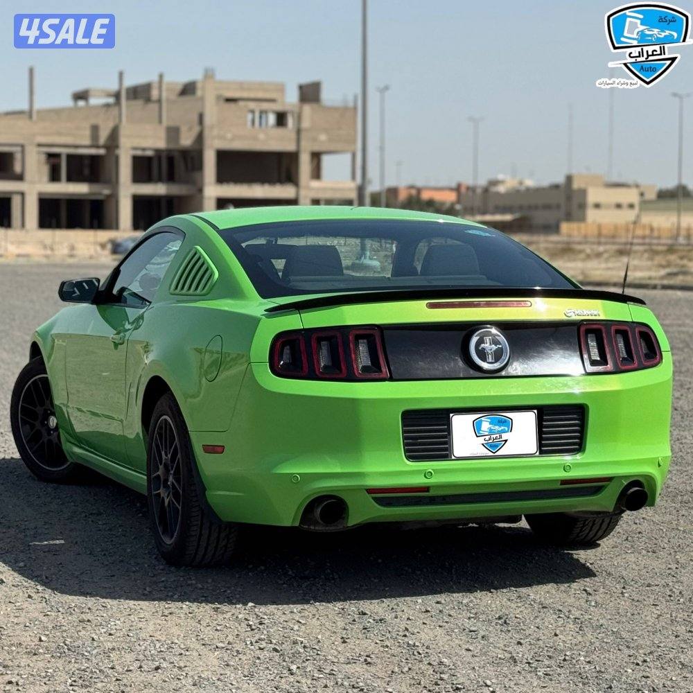 موستنق نضيفه8