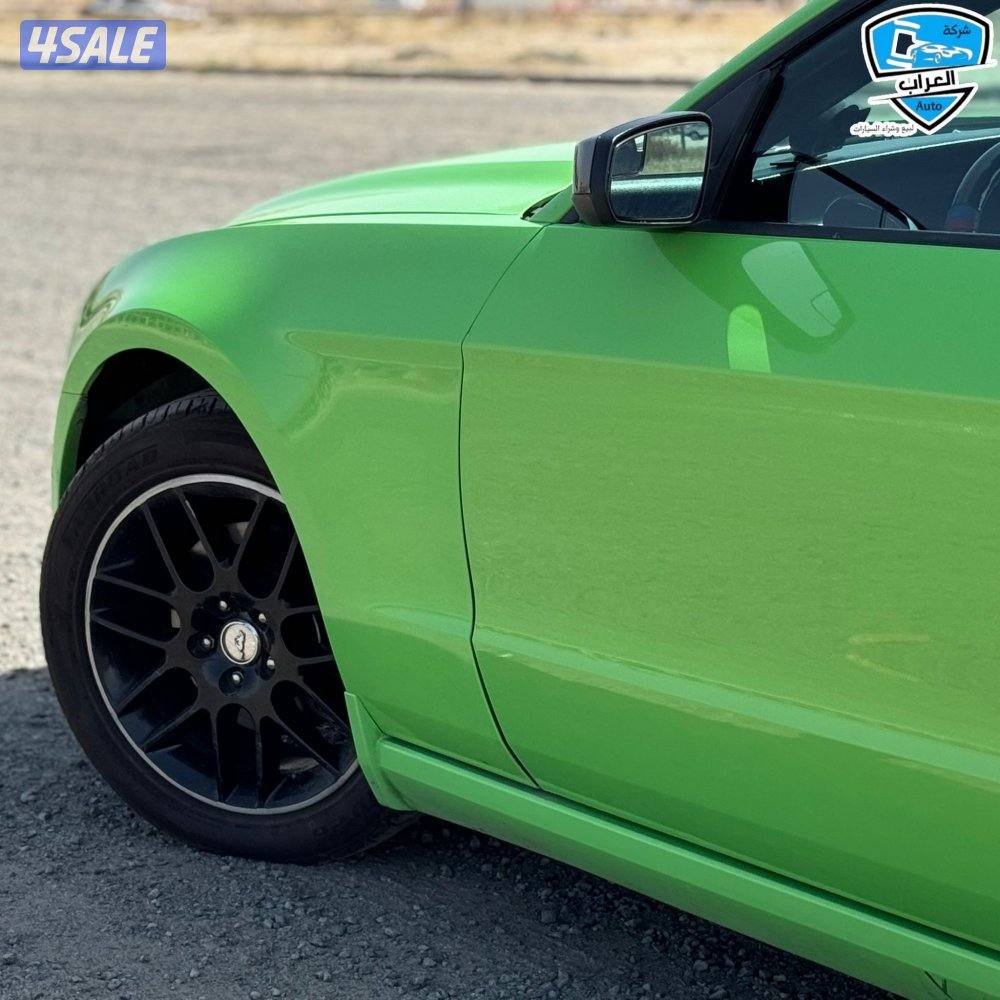 موستنق نضيفه9