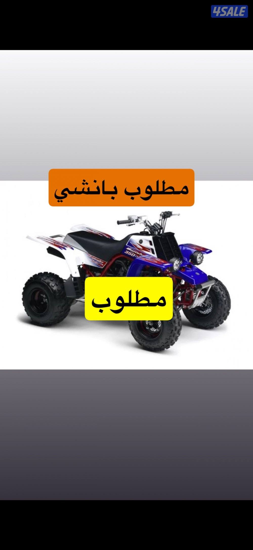 مطلوب بانشي0