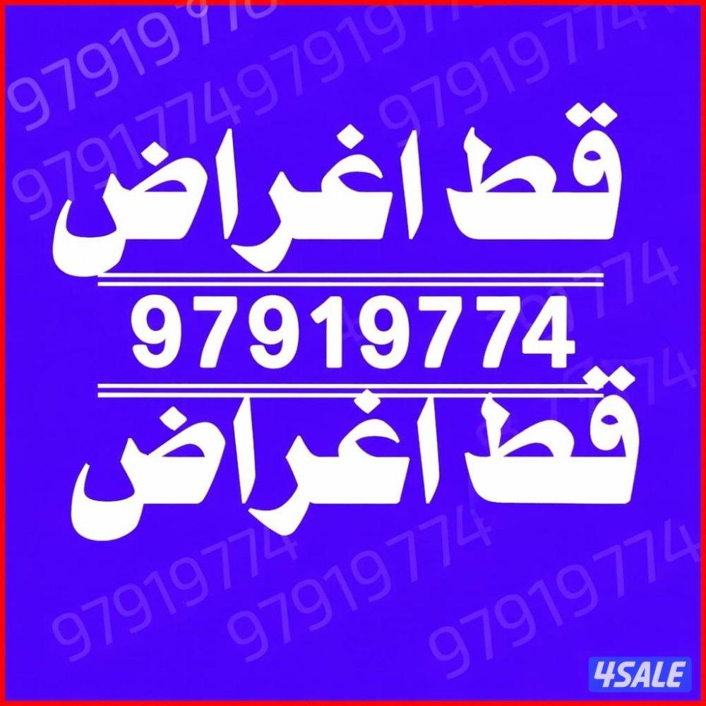 قط@اغراض@قط@اغراض@قط@اغراض@قط@اغراض5