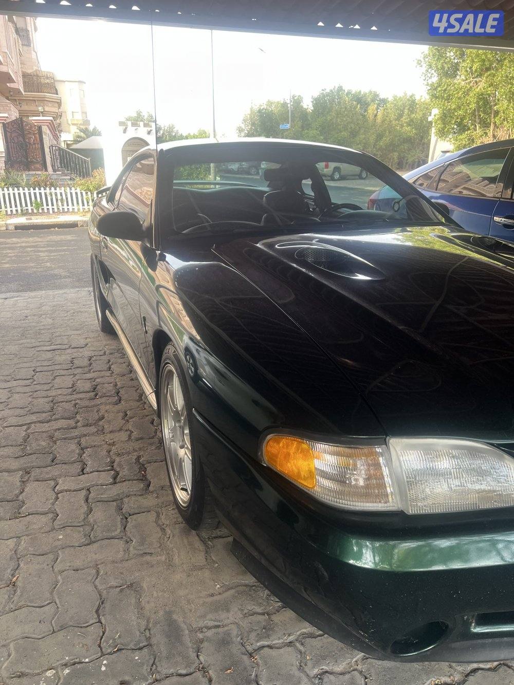 كوبرا اصلي للبيع5