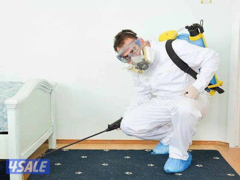 مكافحة حشرات2