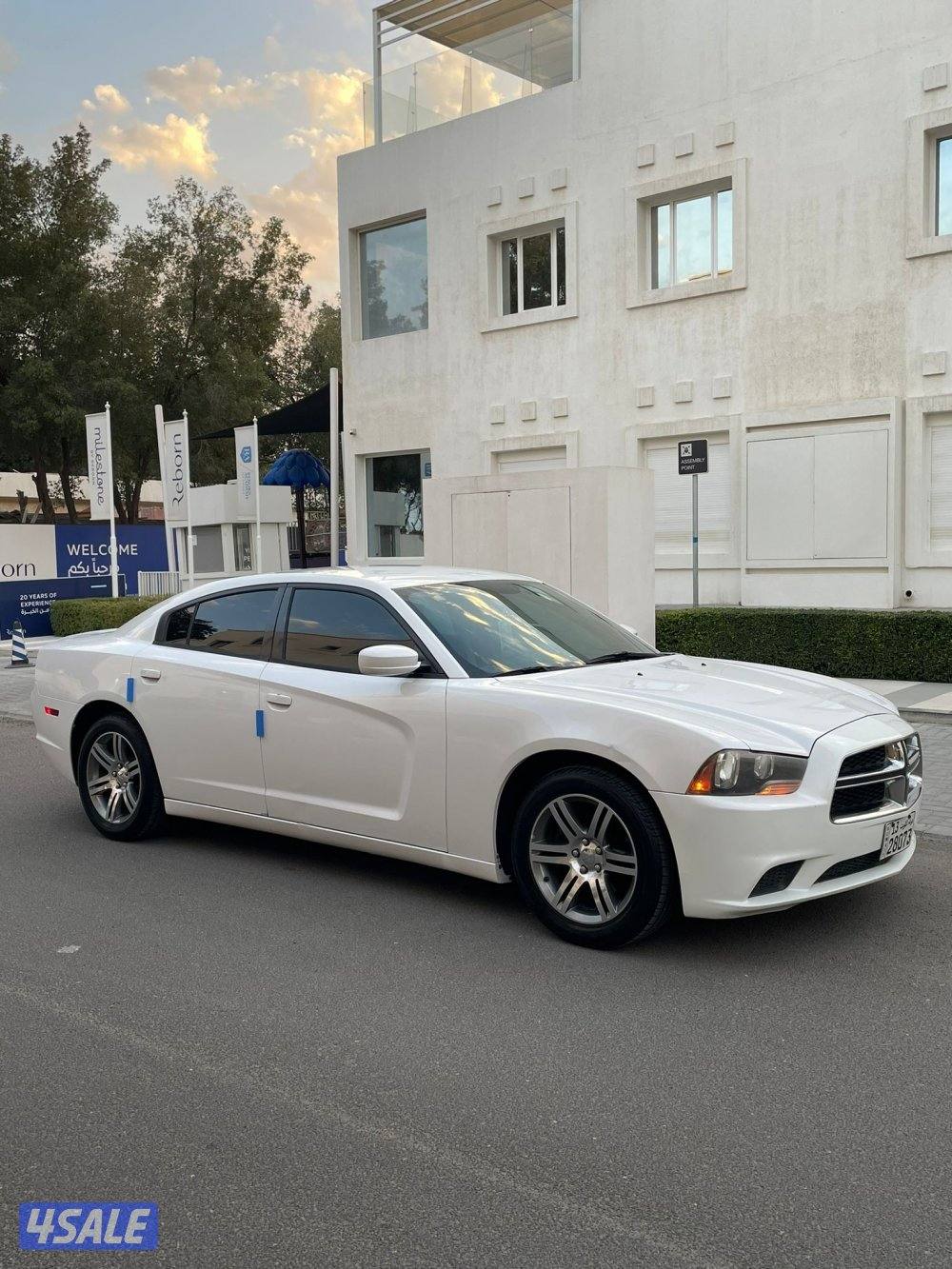 دوج تشارجر شرط الفحص صبغ الوكاله0