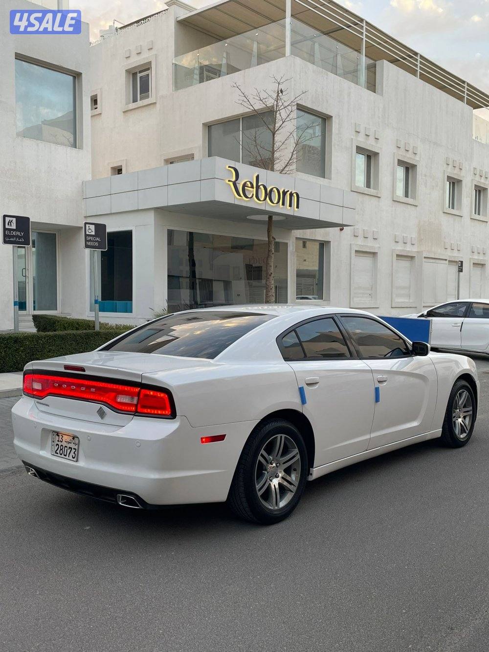 دوج تشارجر شرط الفحص صبغ الوكاله3