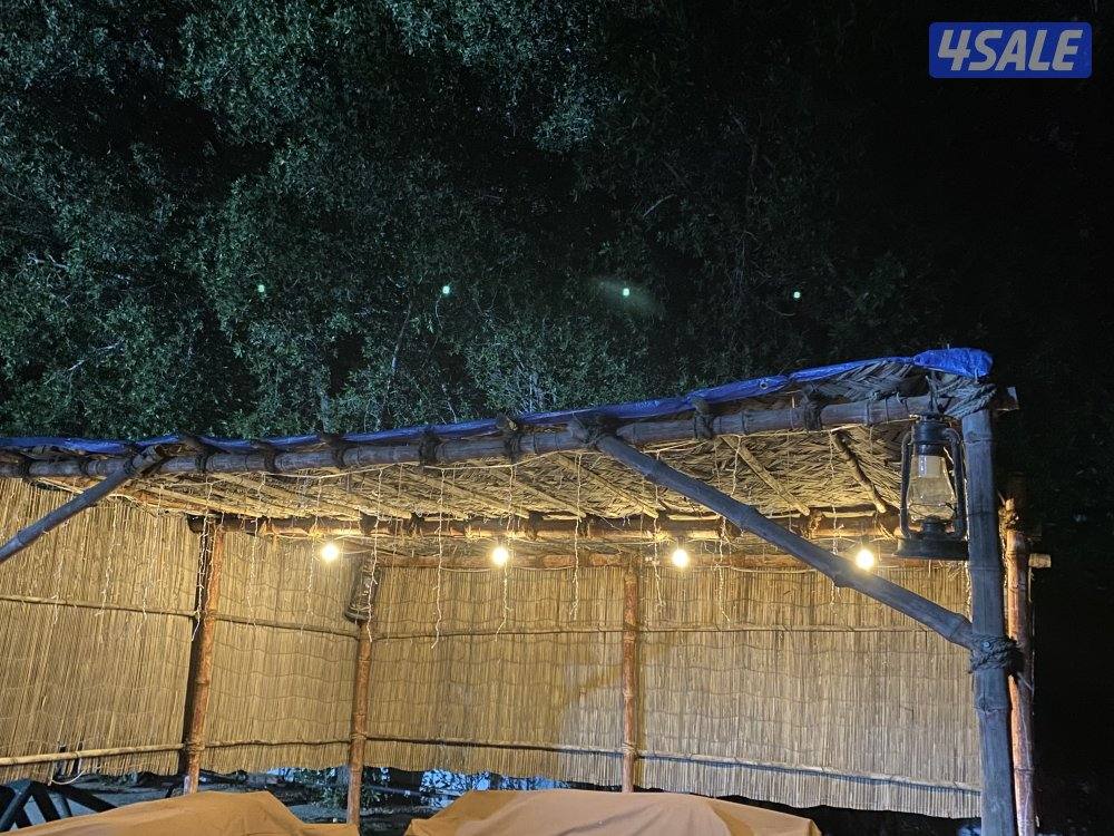 مزارع الوفرة1