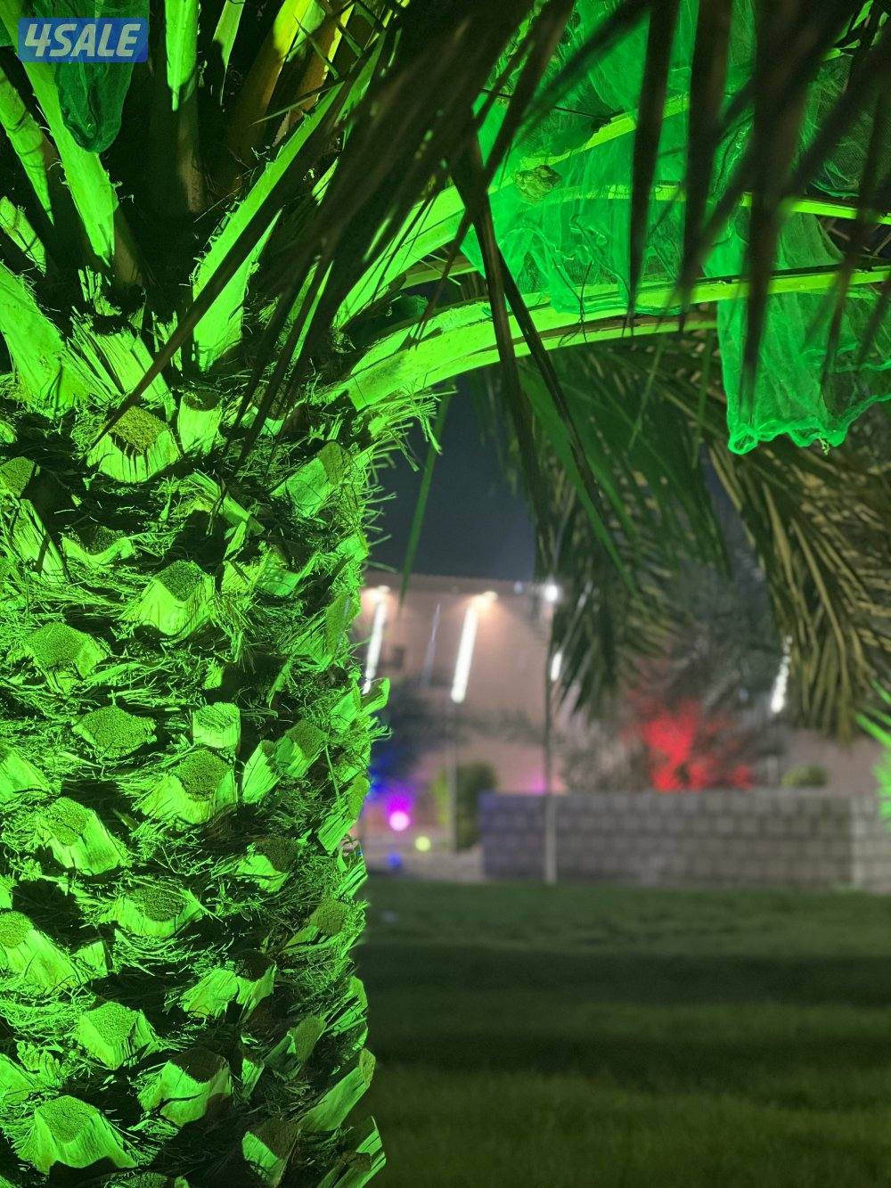 مزارع الوفرة3