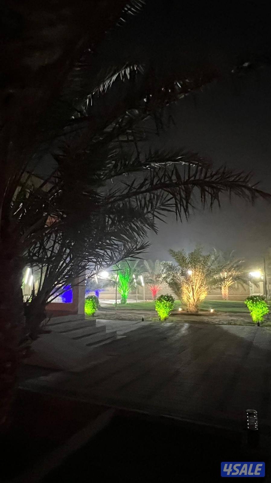 مزارع الوفرة6