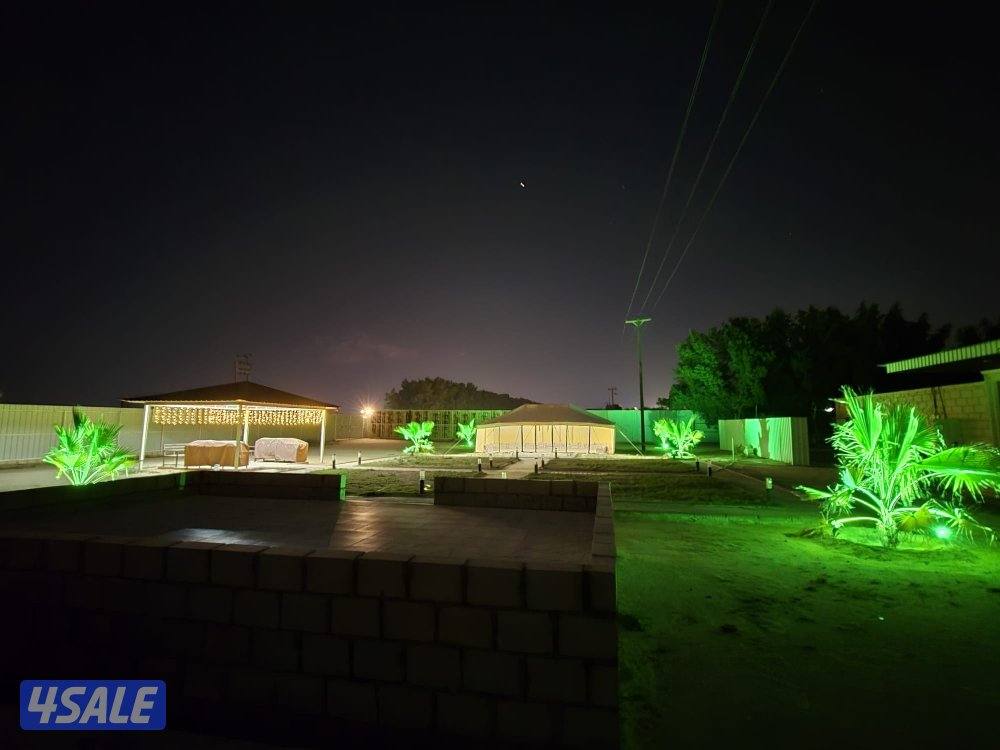 مزارع الوفرة9