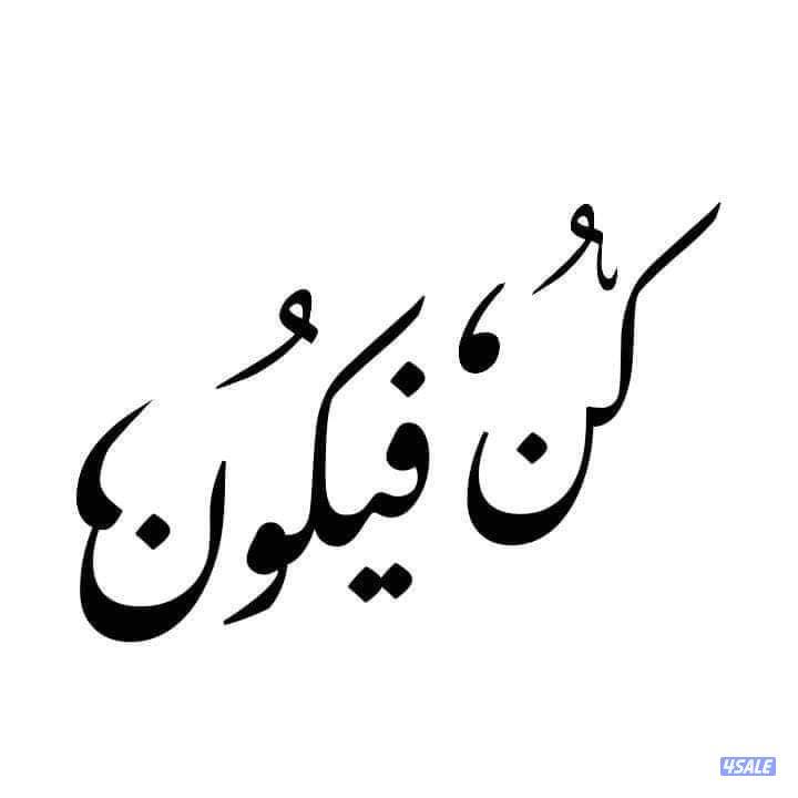 معلم جريل ووجبات سريعة يبحث عن عمل0