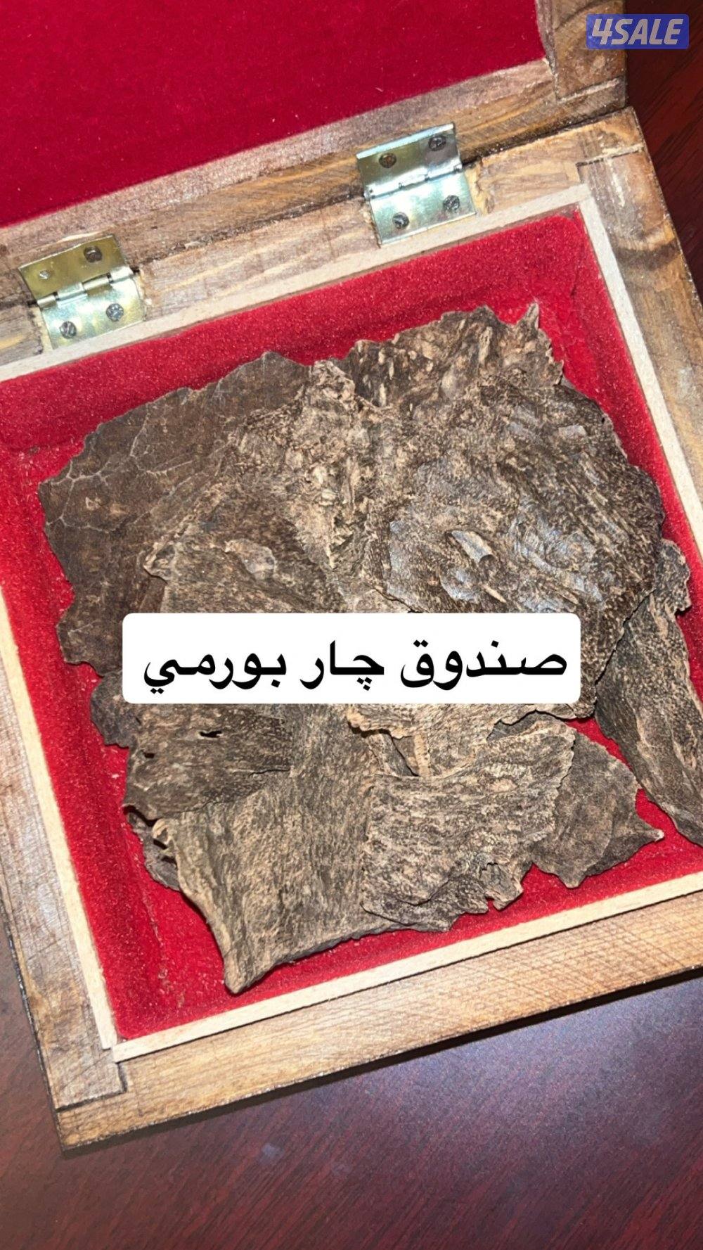 جار بورمي .. 👌0