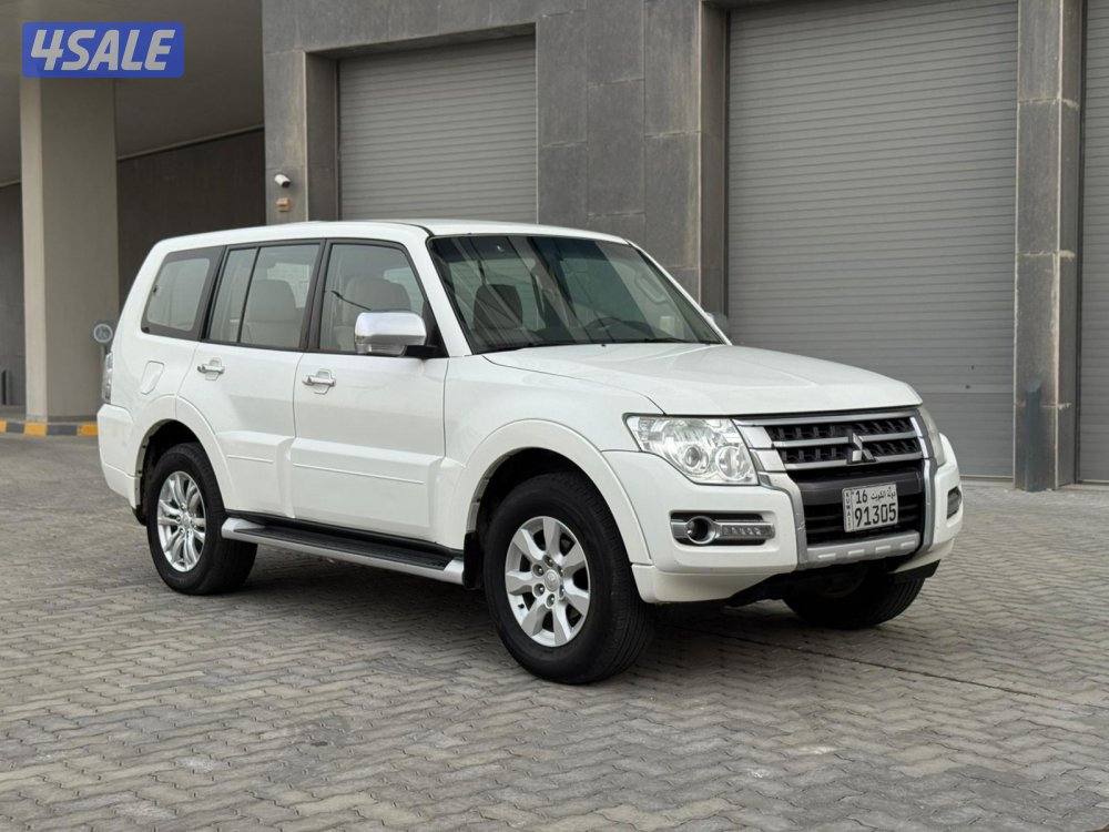 باجيرو 2019 صبغ الوكاله5