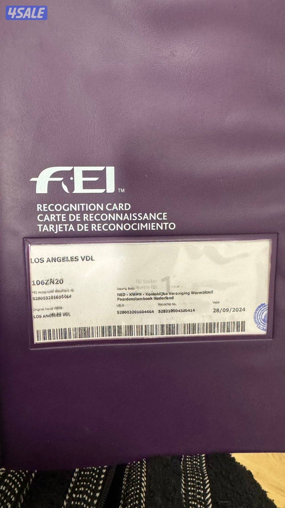 للبيع حصان قفز ( يقفز 80- 90 )  العمر ٩   مشارك بطولا و1