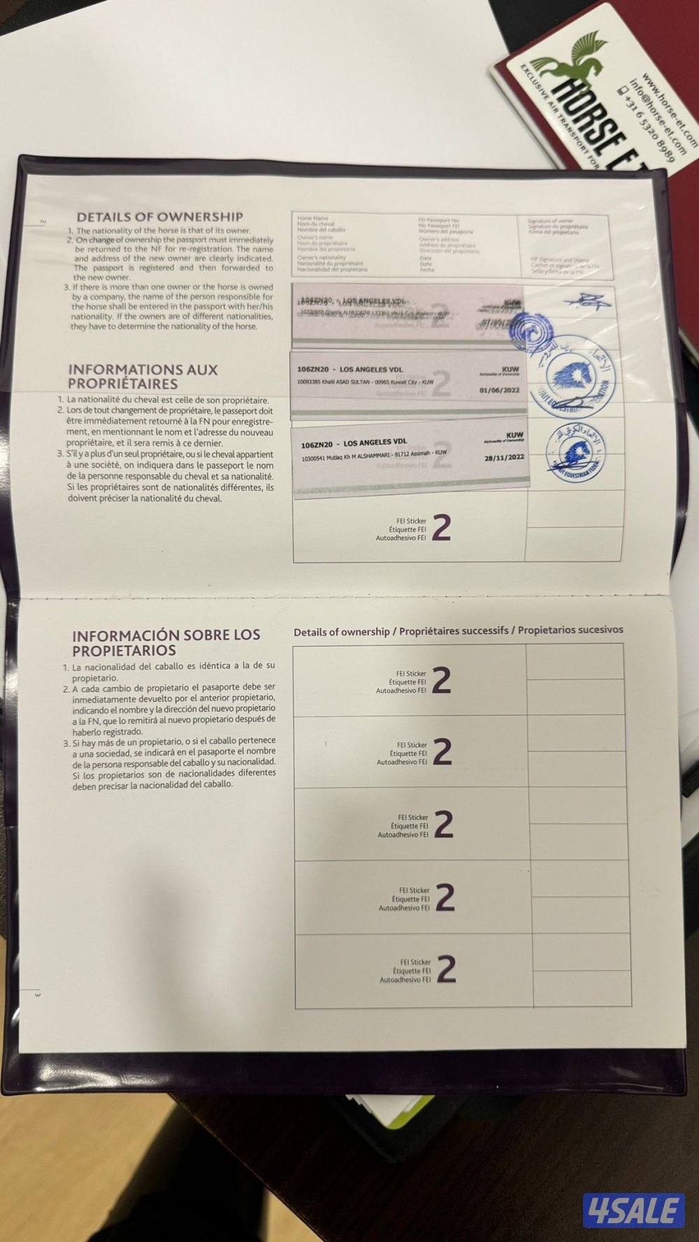 للبيع حصان قفز ( يقفز 80- 90 )  العمر ٩   مشارك بطولا و2