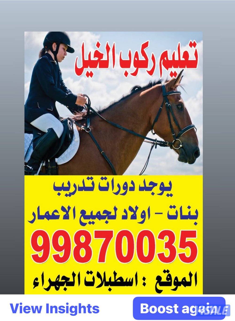 مربط للخيل  ومدرسة لتعليم الفروسية ومعرض في اسطبلات الجهراء1